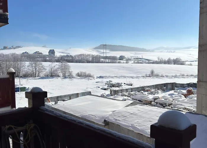 Апартаменты Helena Apart&spa Златибор